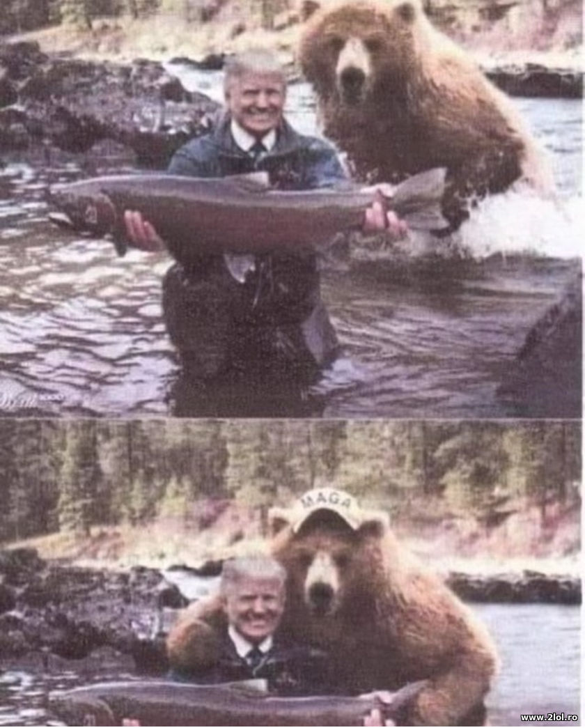 Donald J. Trump and a bear MAGA | poze haioase