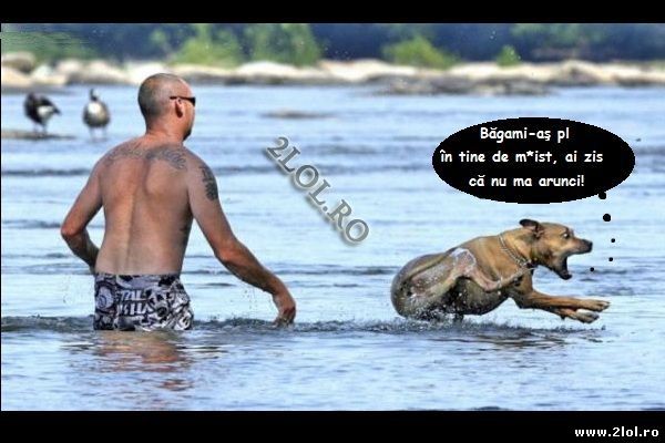 Inele Calit Inele Calit